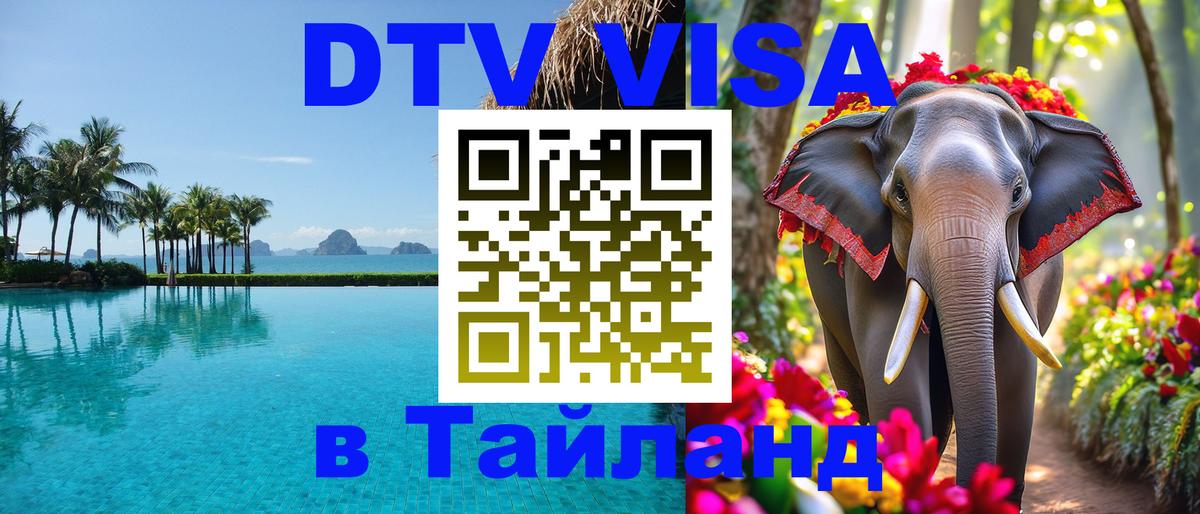 Сколько стоит DTV виза — актуальные цены, оформление даже без документов - Красногорск  20.11.2025 